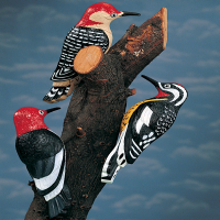 Bird, Wildlife & Outdoor Fun Ornaments